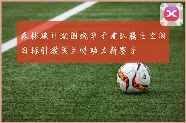 森林狼计划围绕华子建队腾出空间目标引援莫兰特助力新赛季