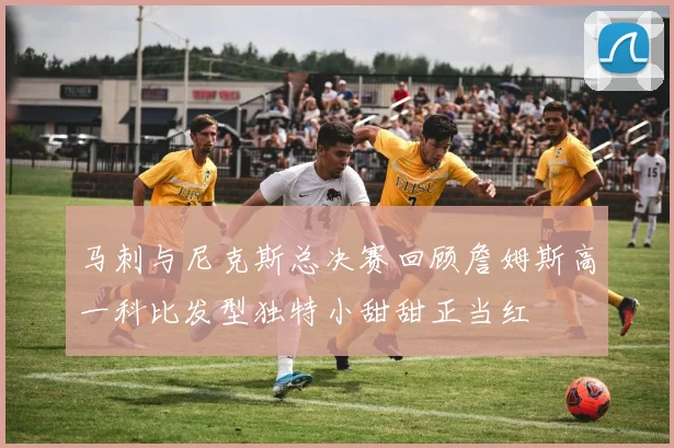 马刺与尼克斯总决赛回顾詹姆斯高一科比发型独特小甜甜正当红